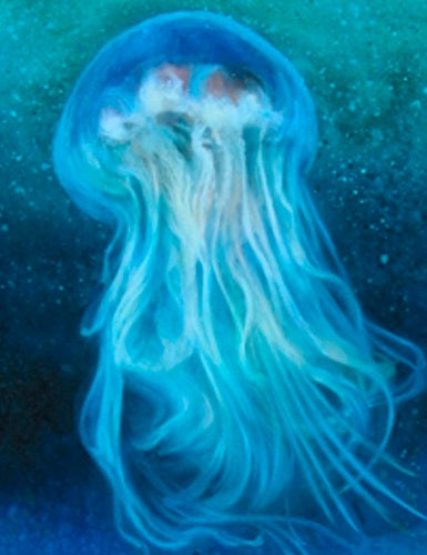 Jellyfish Series 2 D - Original Oil Painting